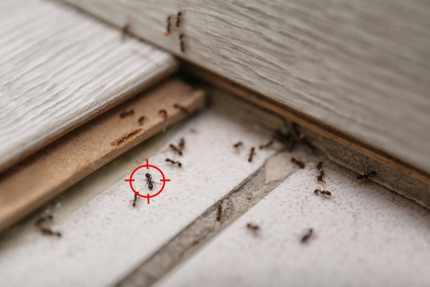 Pest Control Cost in Evansville, WY
