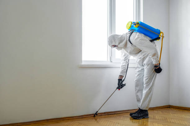 Best Best Pest Control Companies  in Evansville, WY