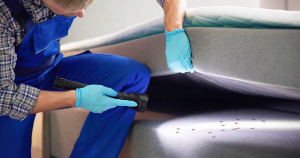 Best Flea Control Services  in Evansville, WY