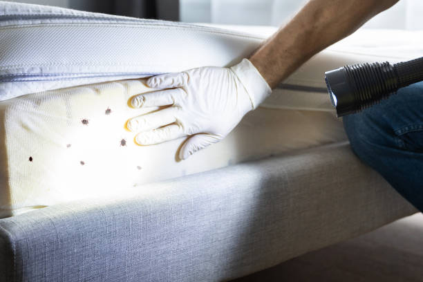 Best Affordable Pest Control Services  in Evansville, WY