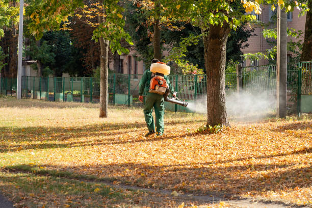 Best Pest Control Near Me in Evansville, WY