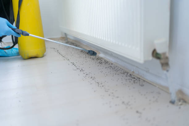 Professional Pest Control in Evansville, WY